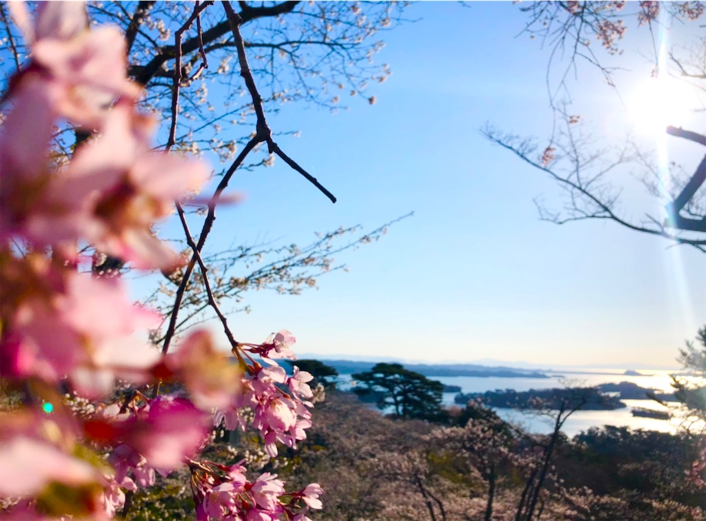 f:id:Hato1972:20220301101937j:image f:id:Hato1972:20220301101937j:image