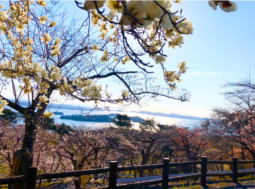 f:id:Hato1972:20220301101949j:image f:id:Hato1972:20220301101949j:image