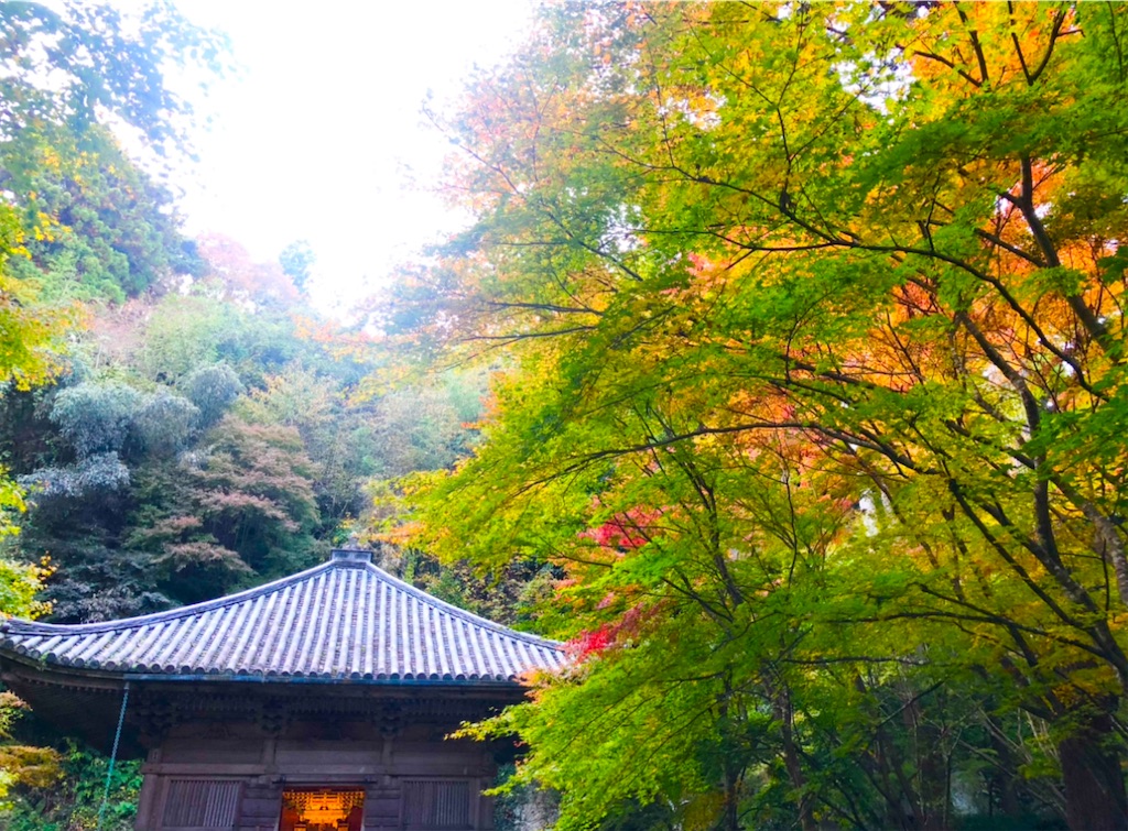 f:id:Hato1972:20220302100723j:image f:id:Hato1972:20220302100723j:image