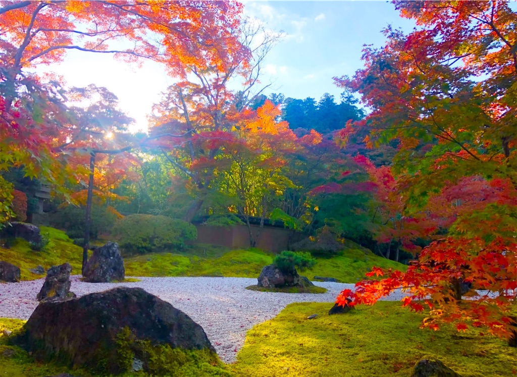 f:id:Hato1972:20220302100810j:image f:id:Hato1972:20220302100810j:image