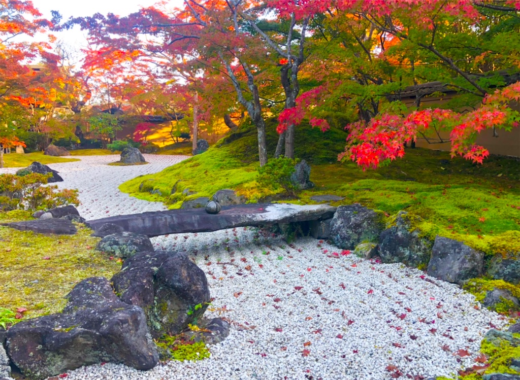 f:id:Hato1972:20220302100820j:image f:id:Hato1972:20220302100820j:image