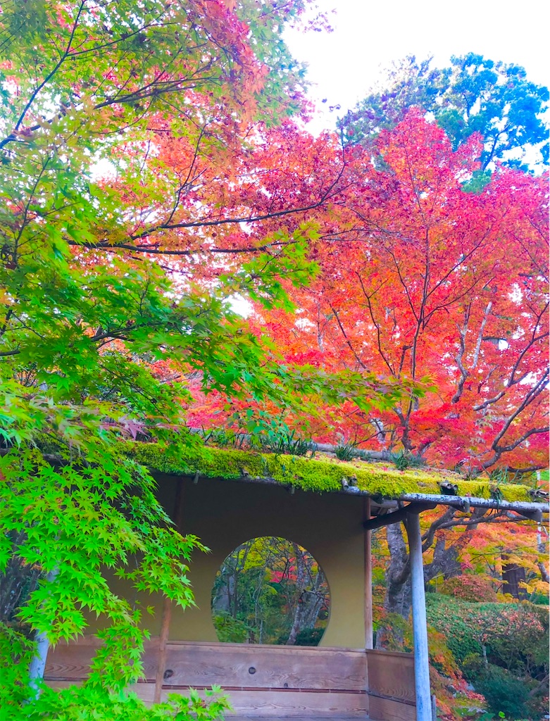 f:id:Hato1972:20220302100833j:image f:id:Hato1972:20220302100833j:image