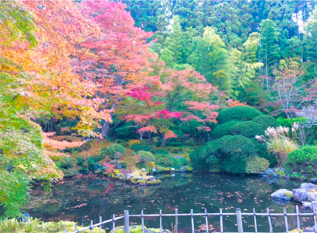 f:id:Hato1972:20220302100906j:image f:id:Hato1972:20220302100906j:image