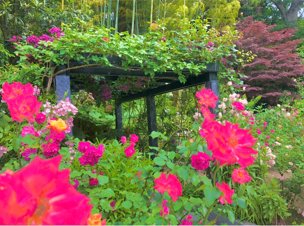 f:id:Hato1972:20220302112758j:image f:id:Hato1972:20220302112758j:image