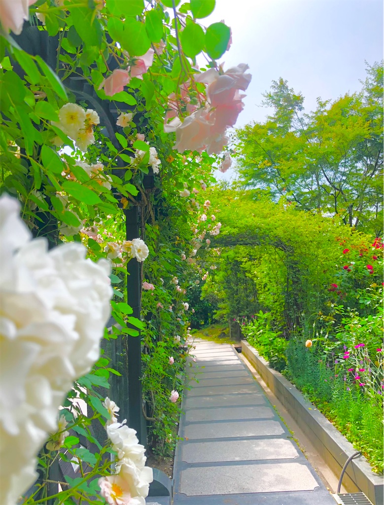 f:id:Hato1972:20220302114555j:image f:id:Hato1972:20220302114555j:image