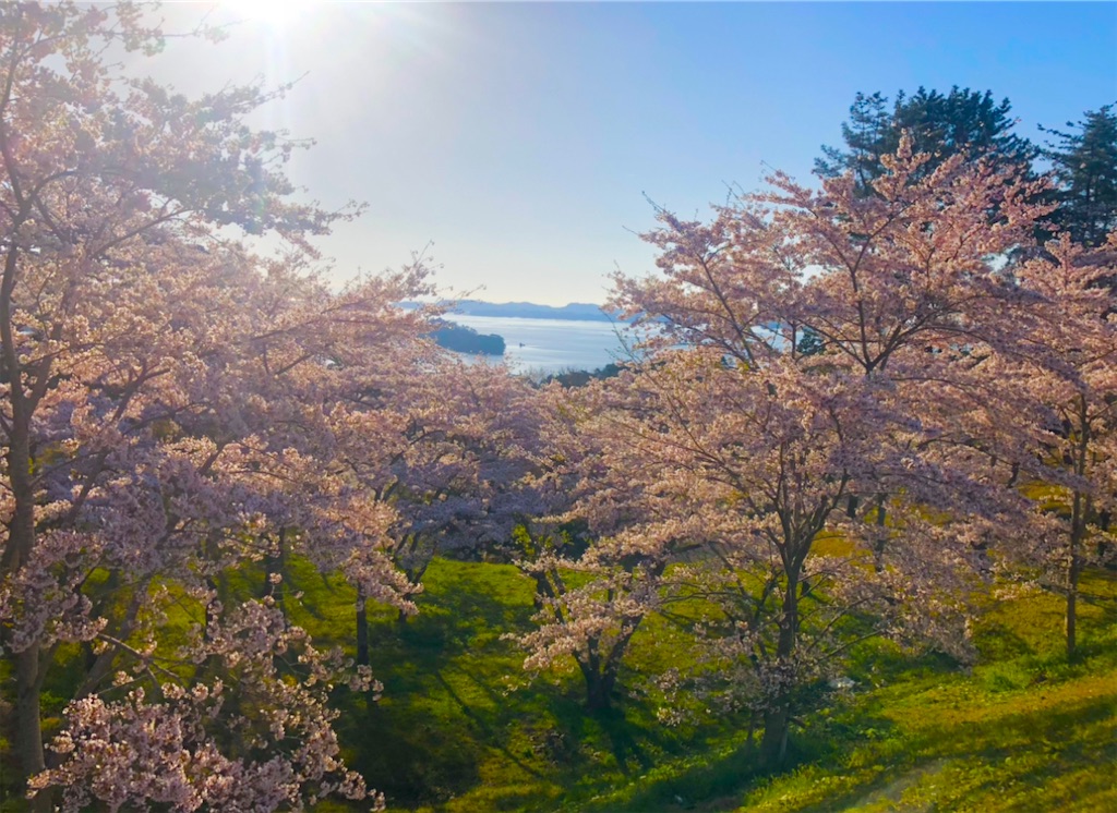 f:id:Hato1972:20220303071522j:image f:id:Hato1972:20220303071522j:image