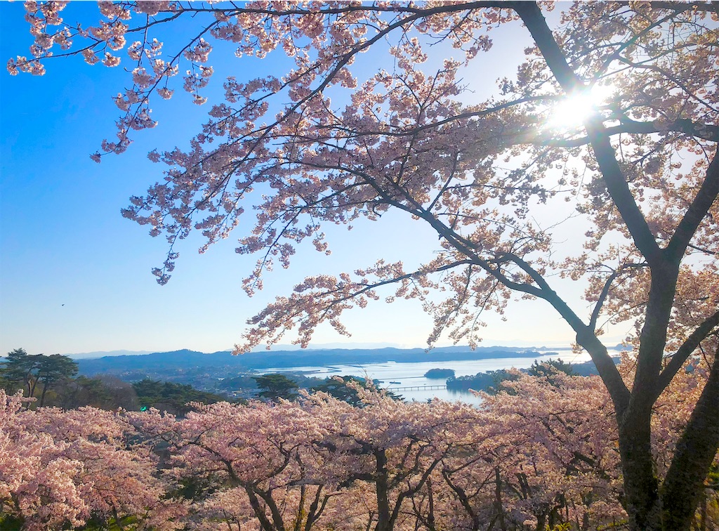f:id:Hato1972:20220303071544j:image f:id:Hato1972:20220303071544j:image