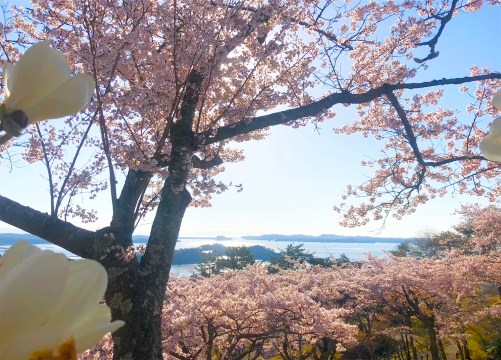 f:id:Hato1972:20220303071615j:image f:id:Hato1972:20220303071615j:image