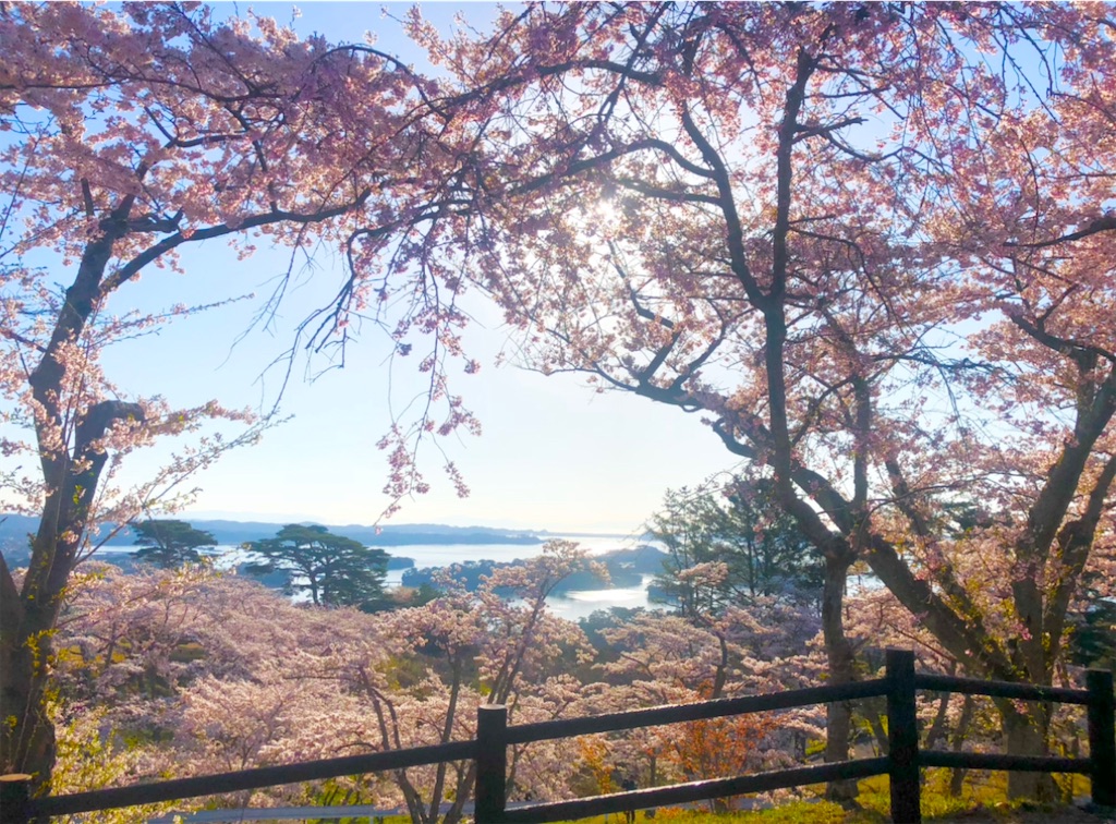 f:id:Hato1972:20220303071653j:image f:id:Hato1972:20220303071653j:image