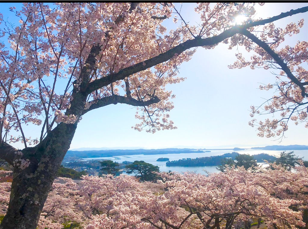 f:id:Hato1972:20220303071704j:image f:id:Hato1972:20220303071704j:image