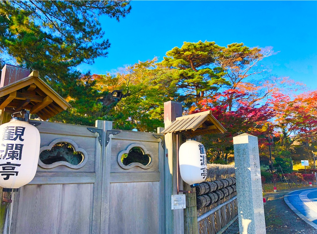 f:id:Hato1972:20220304051932j:image f:id:Hato1972:20220304051932j:image