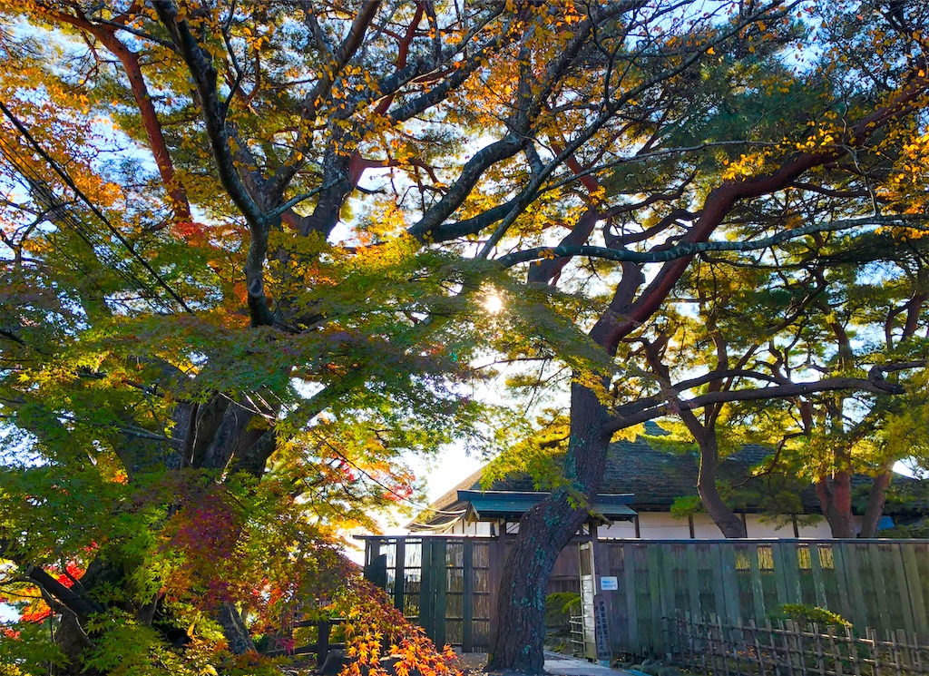 f:id:Hato1972:20220304051947j:image f:id:Hato1972:20220304051947j:image