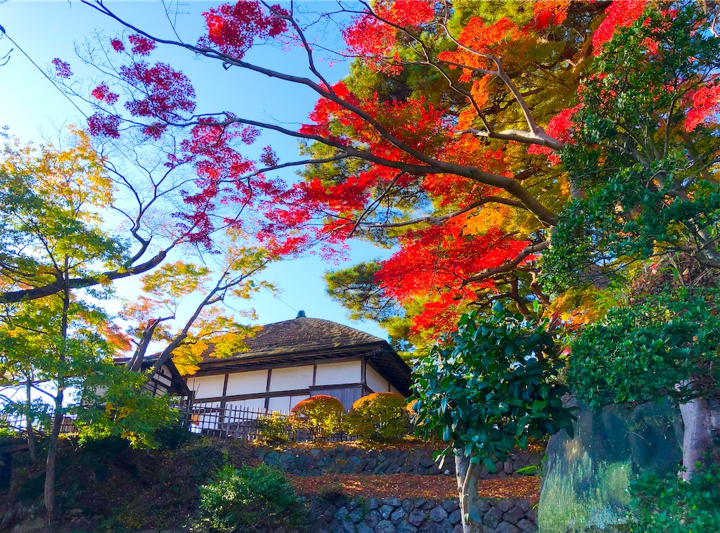 f:id:Hato1972:20220304051956j:image f:id:Hato1972:20220304051956j:image