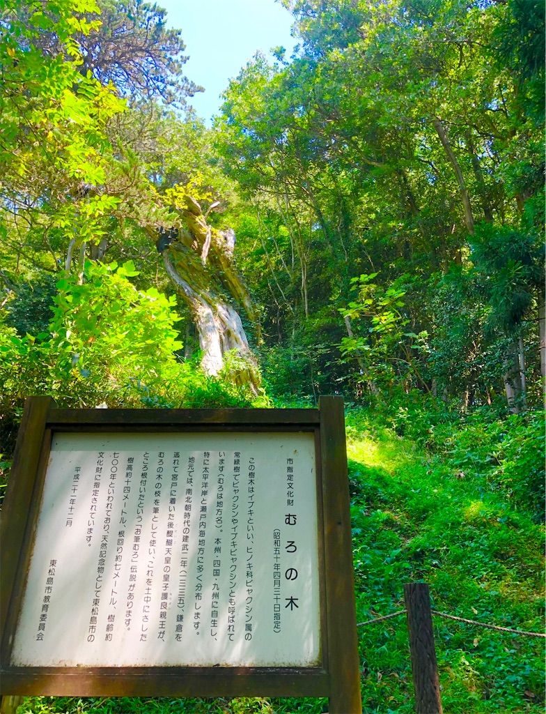 f:id:Hato1972:20220305181530j:image f:id:Hato1972:20220305181530j:image