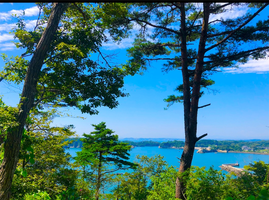 f:id:Hato1972:20220305181629j:image f:id:Hato1972:20220305181629j:image