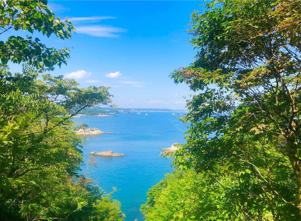 f:id:Hato1972:20220305181719j:image f:id:Hato1972:20220305181719j:image