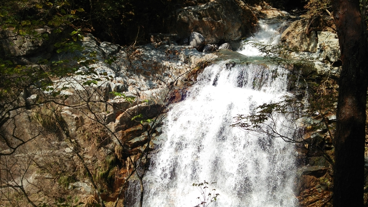 f:id:HatsugenToday:20190516224445j:plain f:id:HatsugenToday:20190516224445j:plain