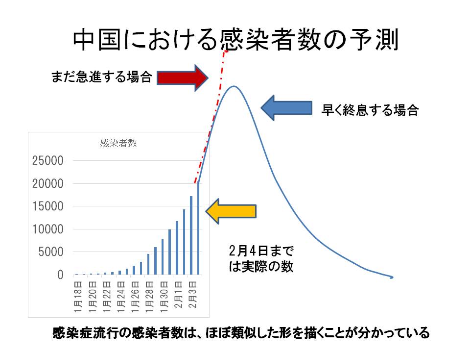 f:id:HatsugenToday:20200205005508j:plain