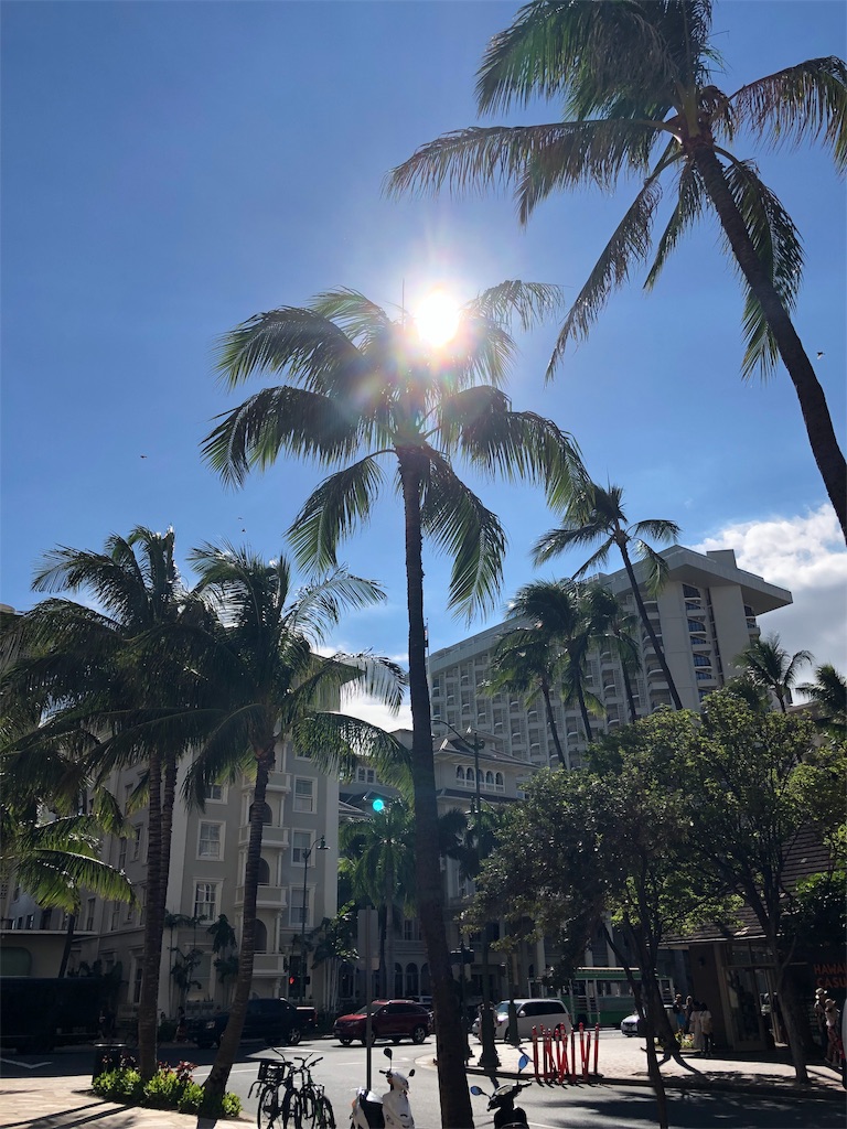 f:id:Hawaii_raoukona:20190915145308j:image