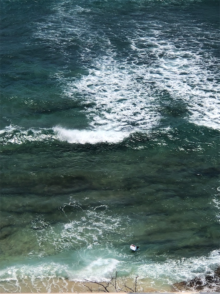 f:id:Hawaii_raoukona:20190917215907j:image f:id:Hawaii_raoukona:20190917215907j:image