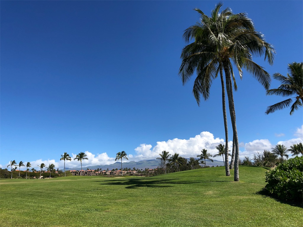 f:id:Hawaii_raoukona:20190930231413j:image