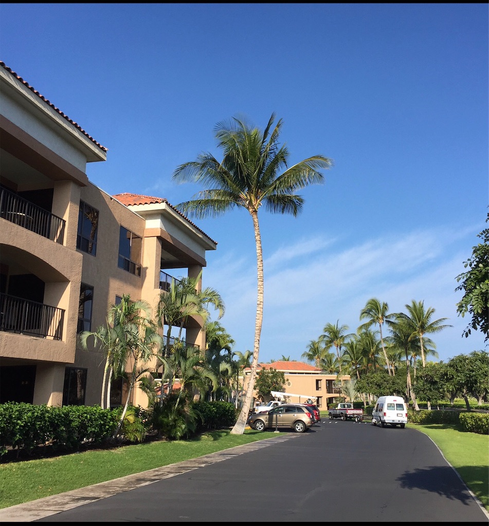 f:id:Hawaii_raoukona:20191018234626j:image