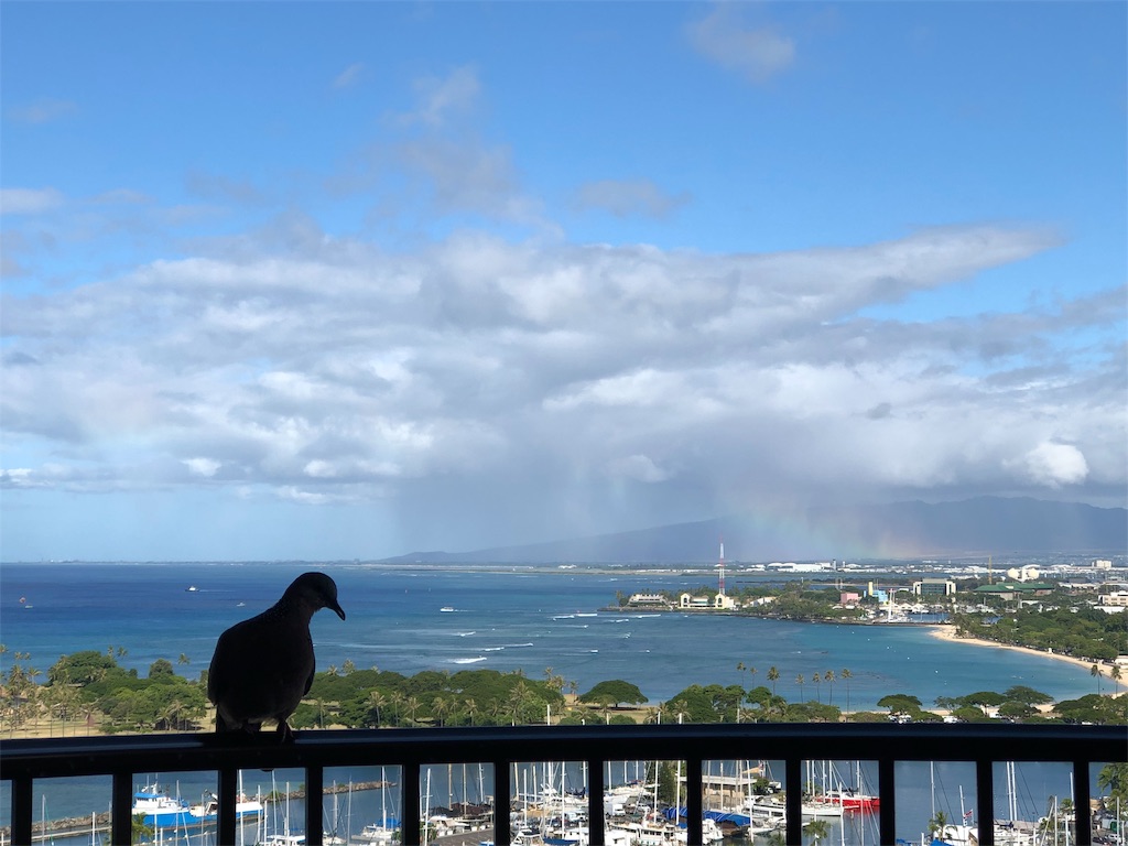 f:id:Hawaii_raoukona:20191019103111j:image