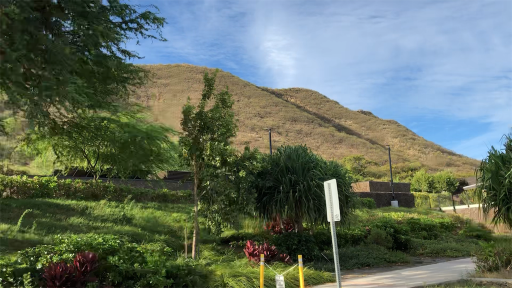 f:id:Hawaii_raoukona:20191029002233p:plain f:id:Hawaii_raoukona:20191029002233p:plain