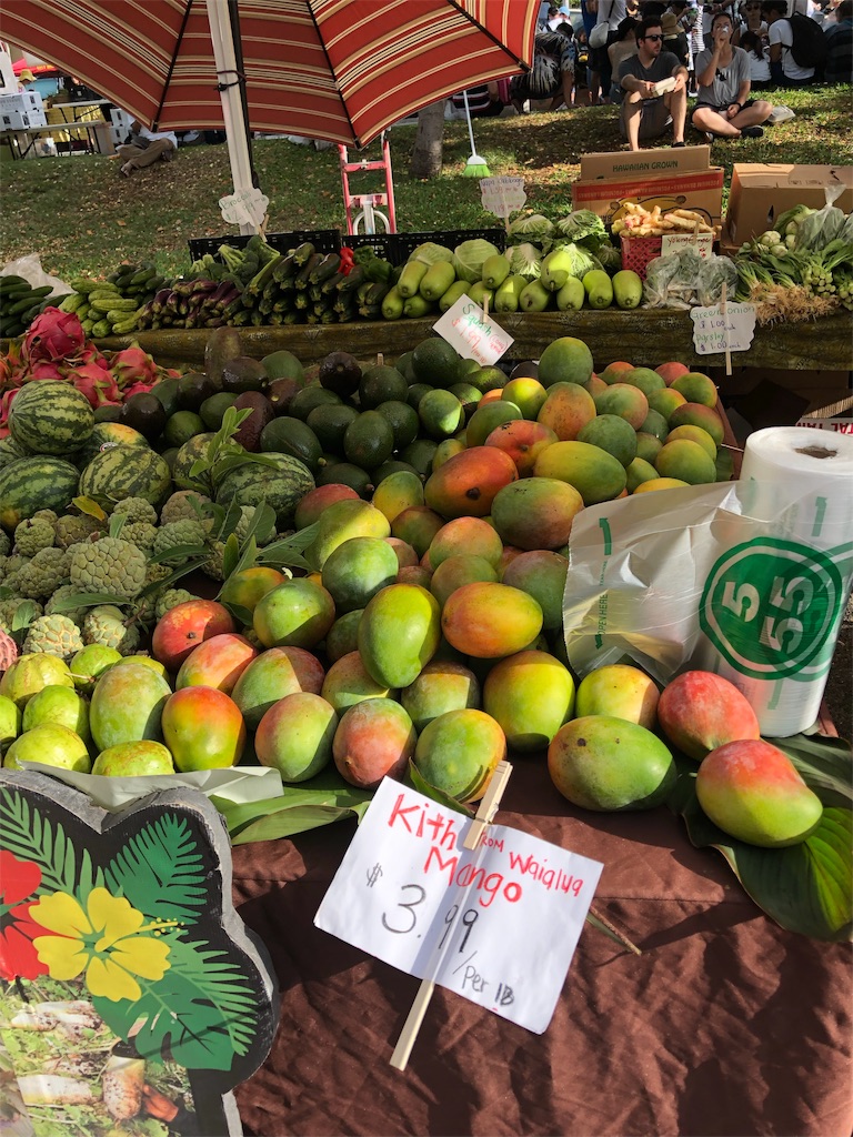 f:id:Hawaii_raoukona:20191114191443j:image