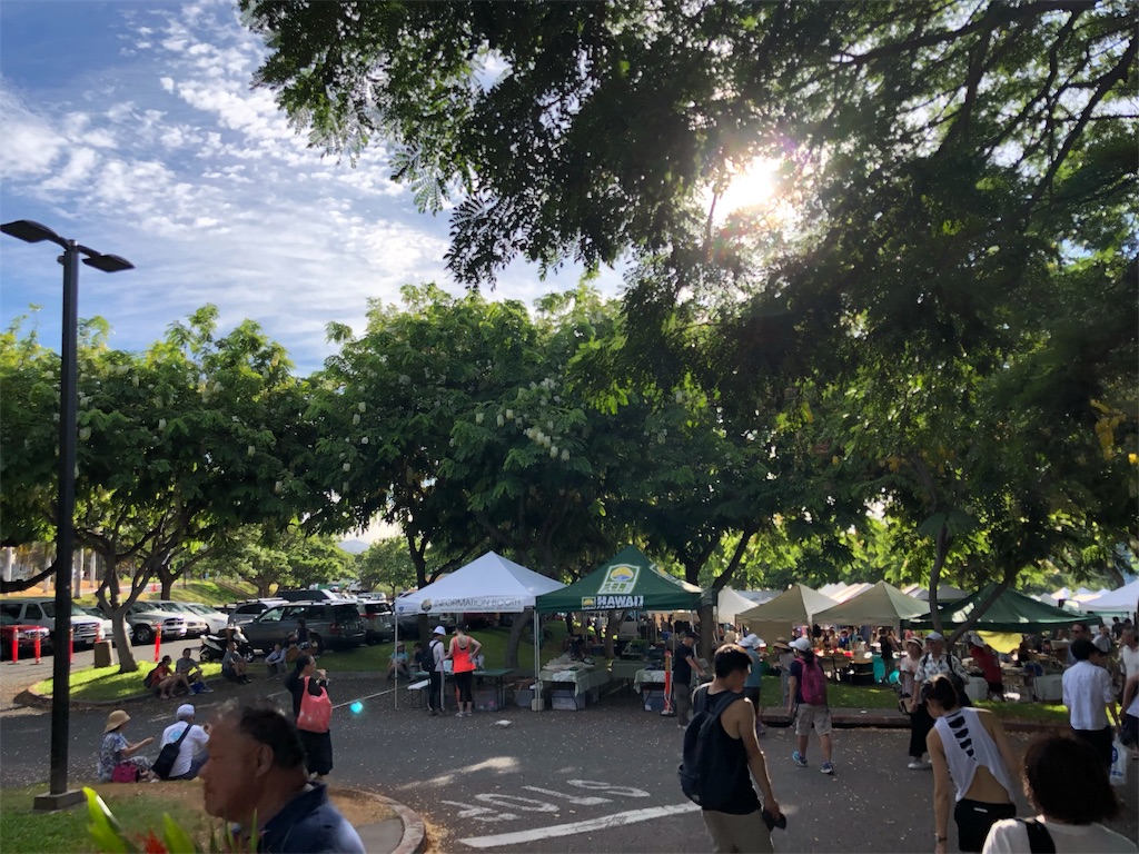 f:id:Hawaii_raoukona:20191114191906j:image