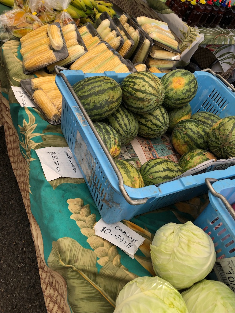 f:id:Hawaii_raoukona:20191114193008j:image