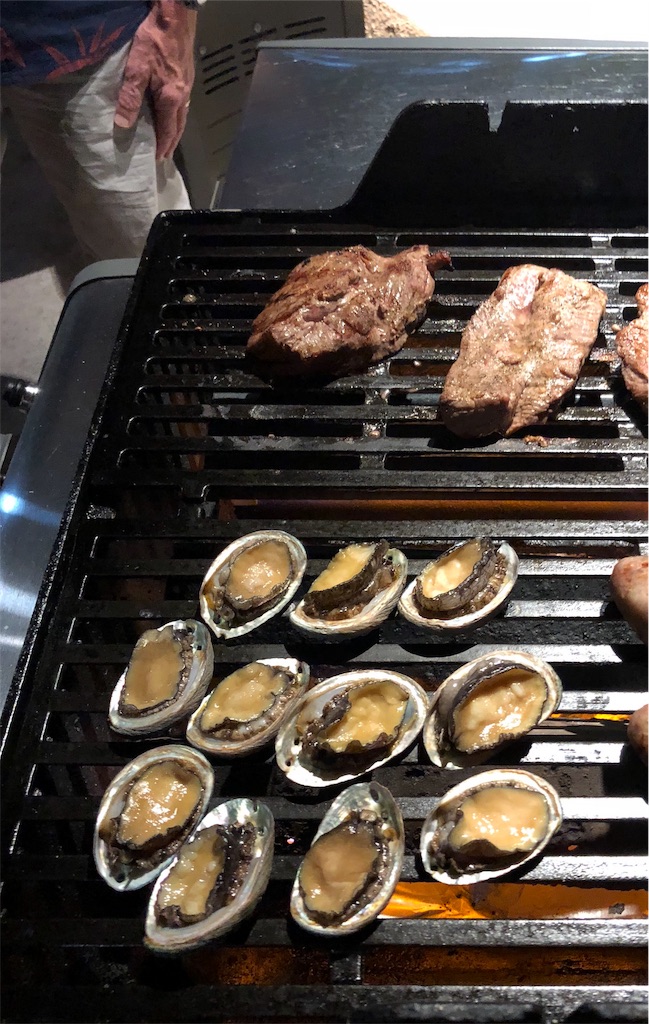 f:id:Hawaii_raoukona:20191114193649j:image