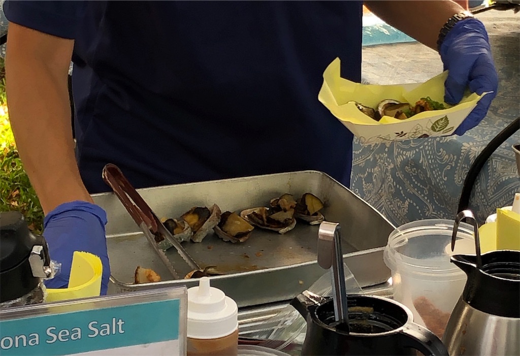 f:id:Hawaii_raoukona:20191114194851j:image