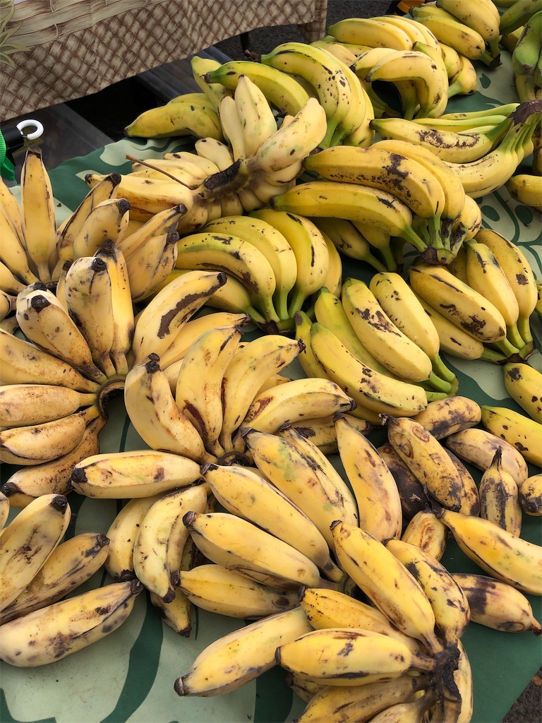 f:id:Hawaii_raoukona:20191115090808j:image