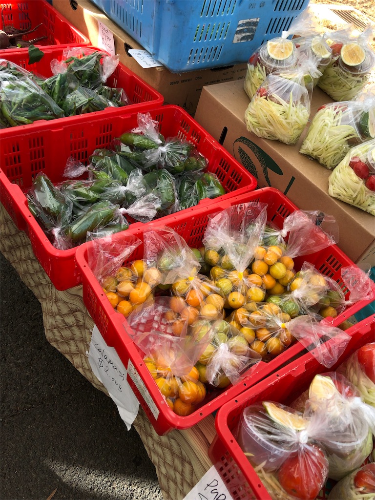 f:id:Hawaii_raoukona:20191115092106j:image