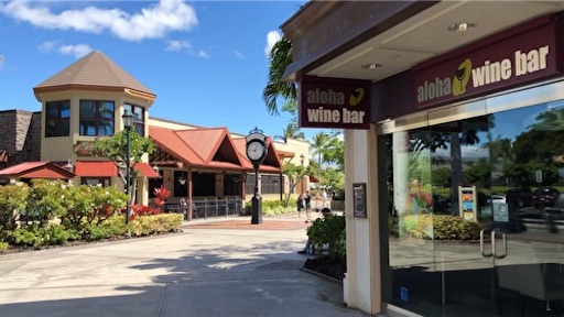 f:id:Hawaii_raoukona:20191127163546j:image