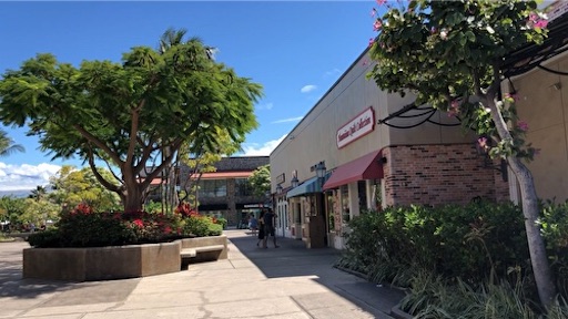 f:id:Hawaii_raoukona:20191127165458j:image