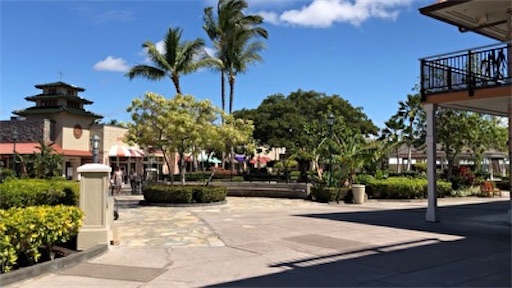 f:id:Hawaii_raoukona:20191128010118j:image