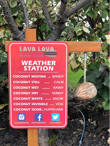 f:id:Hawaii_raoukona:20191206192949p:image