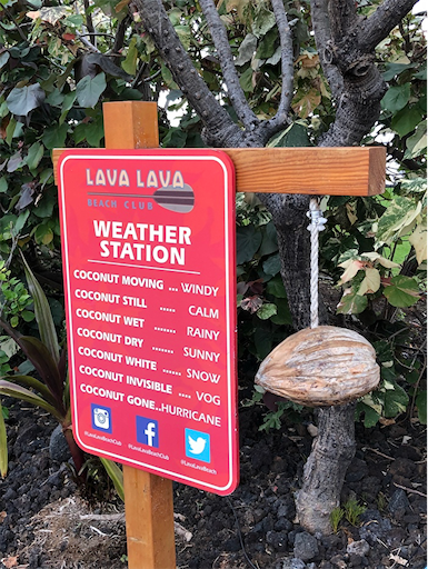 f:id:Hawaii_raoukona:20191206194643p:image