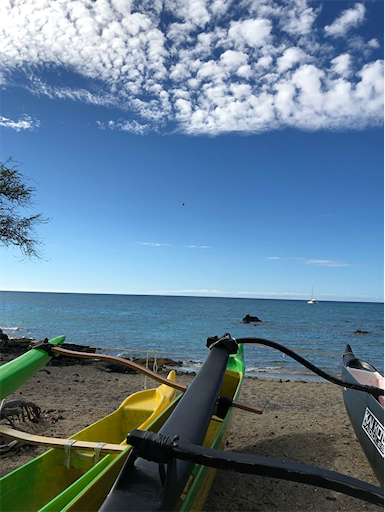 f:id:Hawaii_raoukona:20191207031228p:image