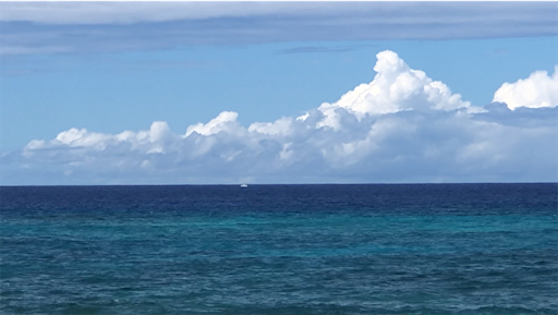 f:id:Hawaii_raoukona:20191208004157p:image