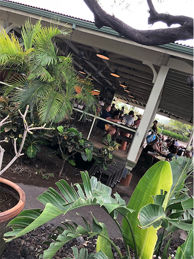 f:id:Hawaii_raoukona:20191208011657p:image