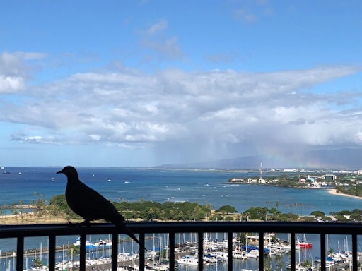 f:id:Hawaii_raoukona:20191211211930j:image