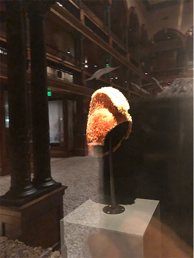 f:id:Hawaii_raoukona:20191223140247p:image