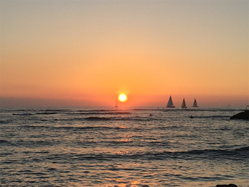 f:id:Hawaii_raoukona:20191226142446p:image