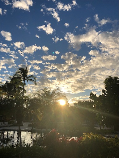 f:id:Hawaii_raoukona:20191228003240j:image f:id:Hawaii_raoukona:20191228003240j:image