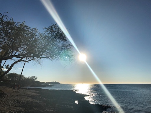 f:id:Hawaii_raoukona:20191228004913j:image f:id:Hawaii_raoukona:20191228004913j:image