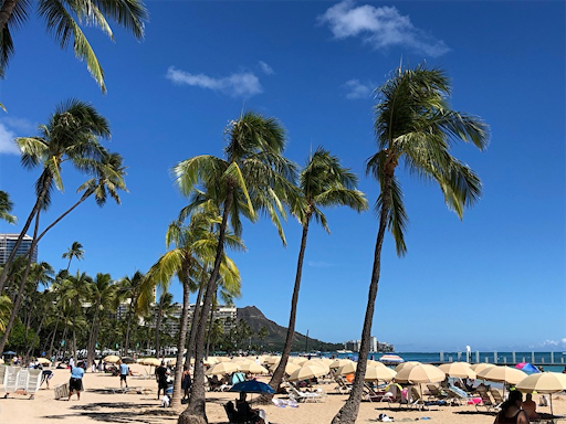 f:id:Hawaii_raoukona:20191231003729p:image