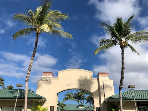 f:id:Hawaii_raoukona:20200216111155j:image